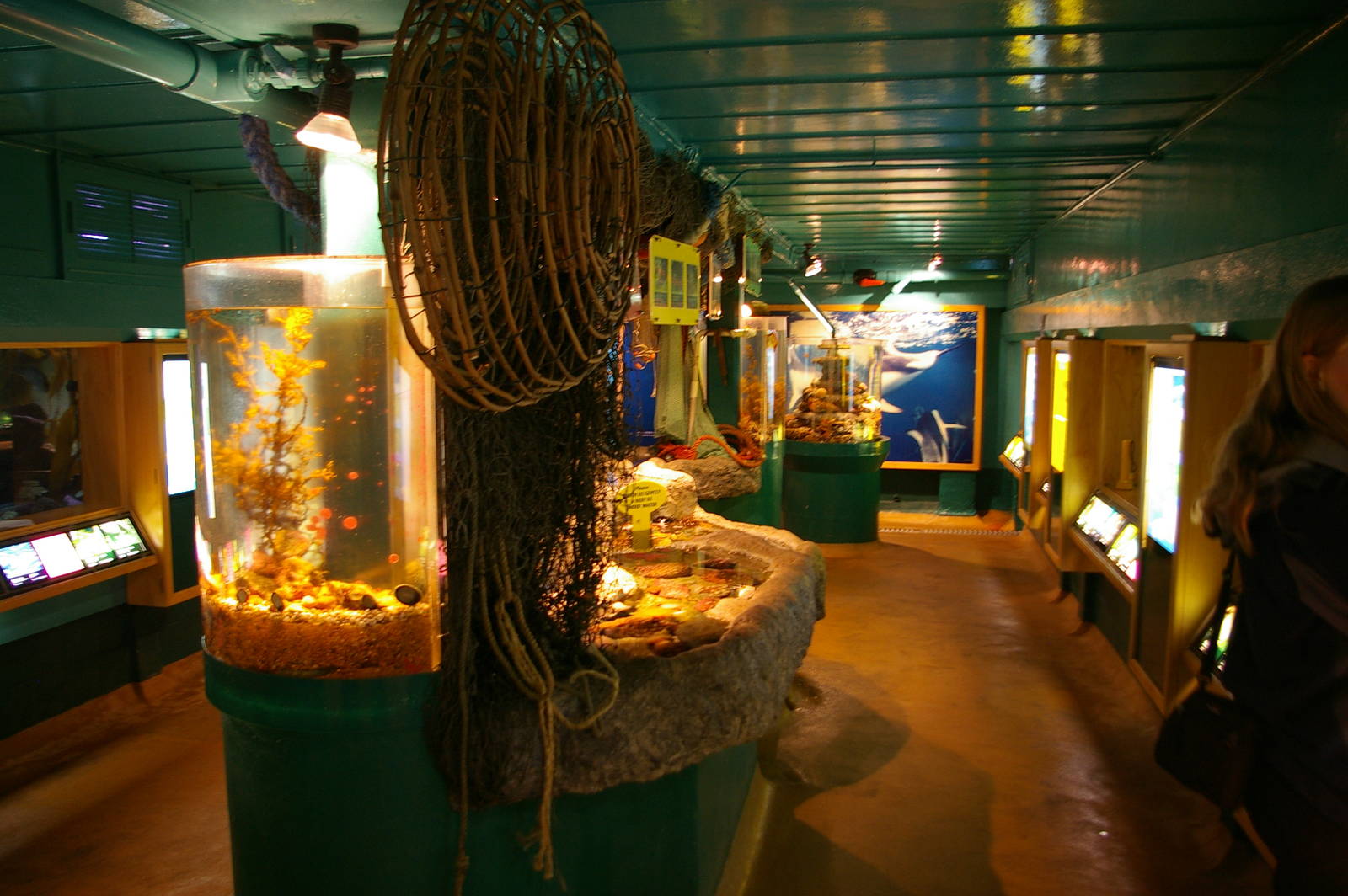 Portobello Aquarium, Dunedin