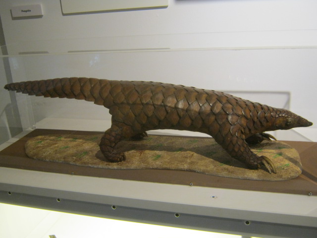 Portsmouth Natural History Museum 2015