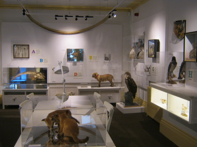 Portsmouth Natural History Museum 2015