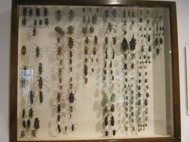 Portsmouth Natural History Museum 2015