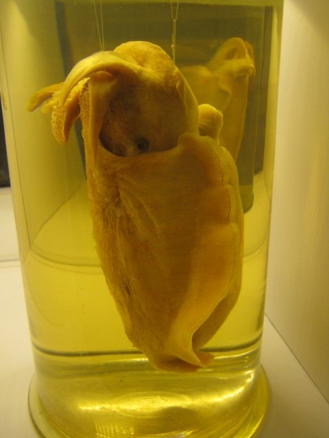 Portsmouth Natural History Museum 2015