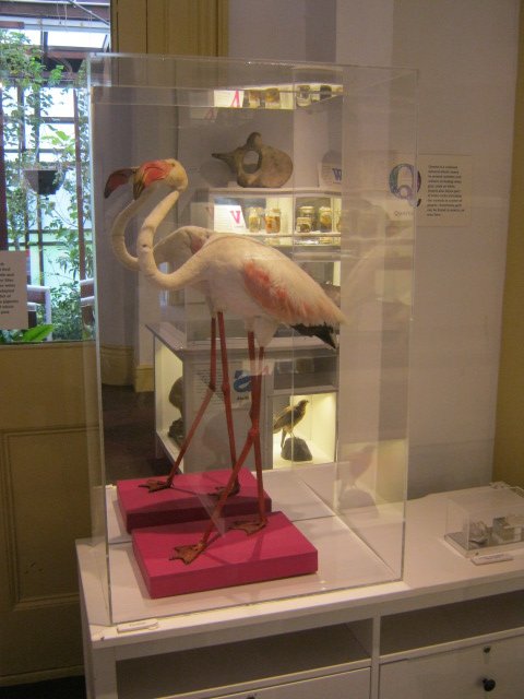 Portsmouth Natural History Museum 2015