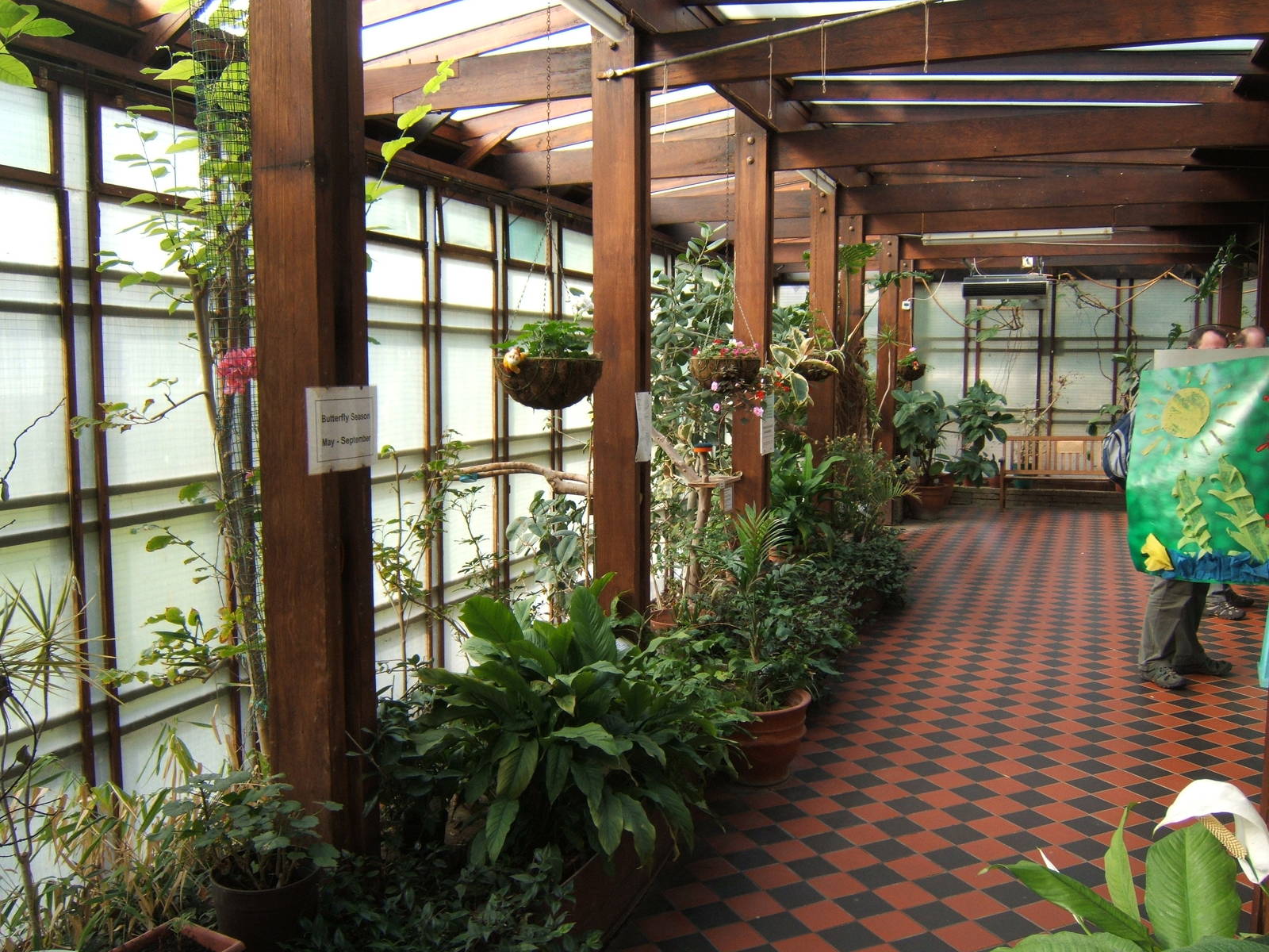 Portsmouth Natural History Museum and Butterfly house