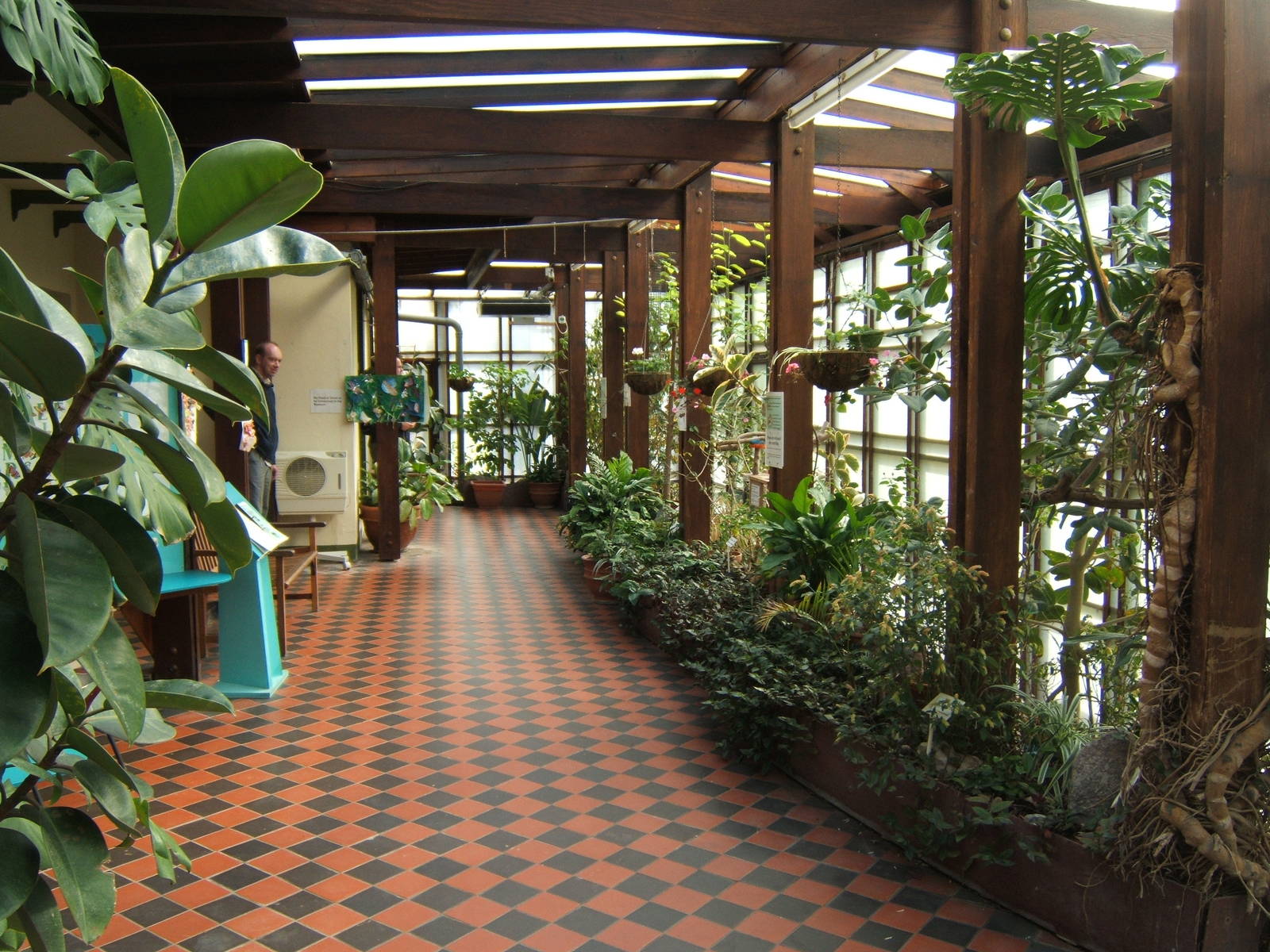 Portsmouth Natural History Museum and Butterfly house