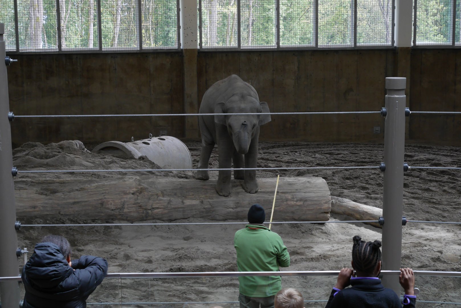 Positive Reinforcement - My First US Zoo Trip