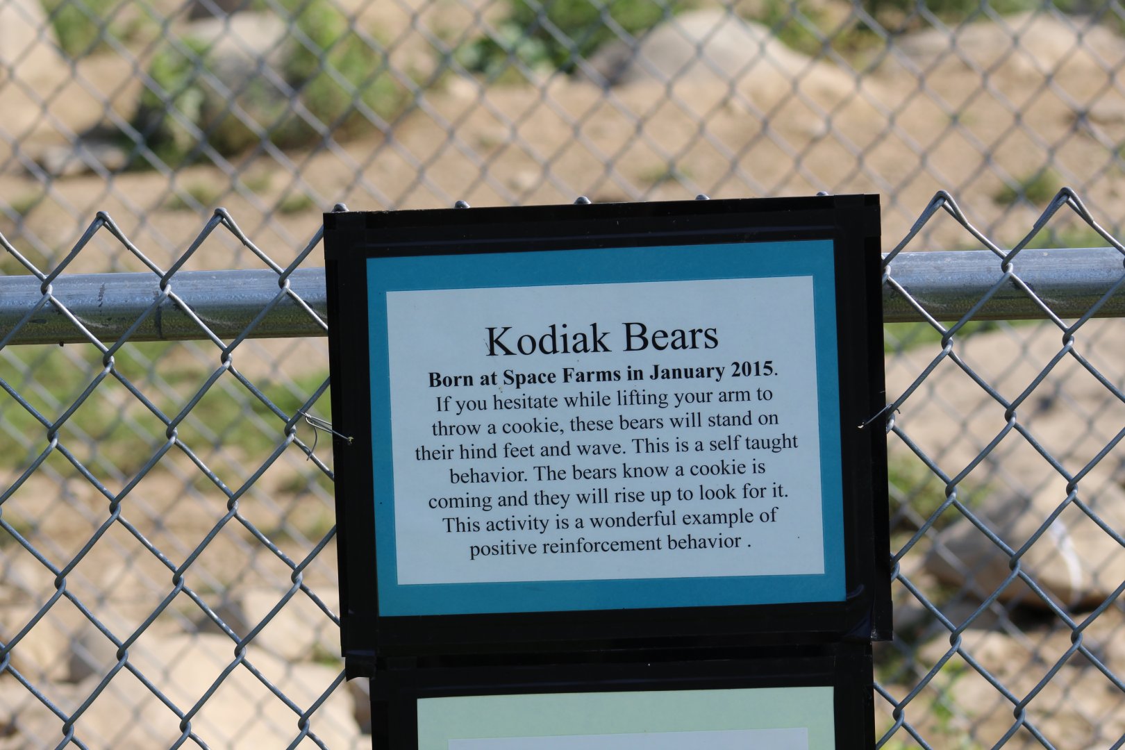 Positive Reinforcement..