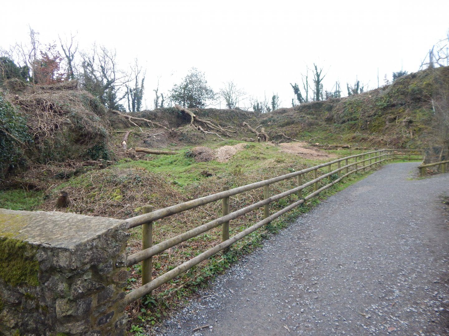 Possible future development next to Takins 050224