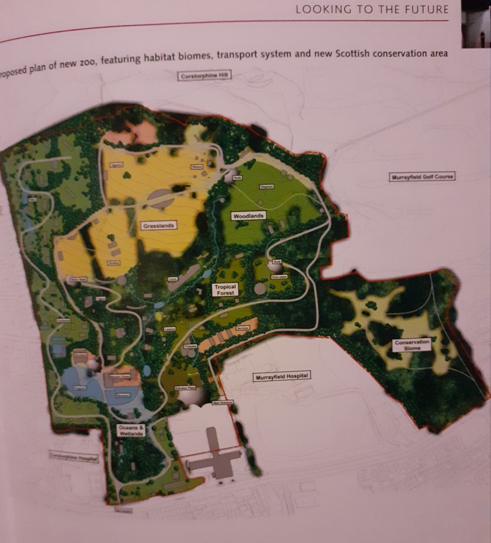 Possible Future plans1