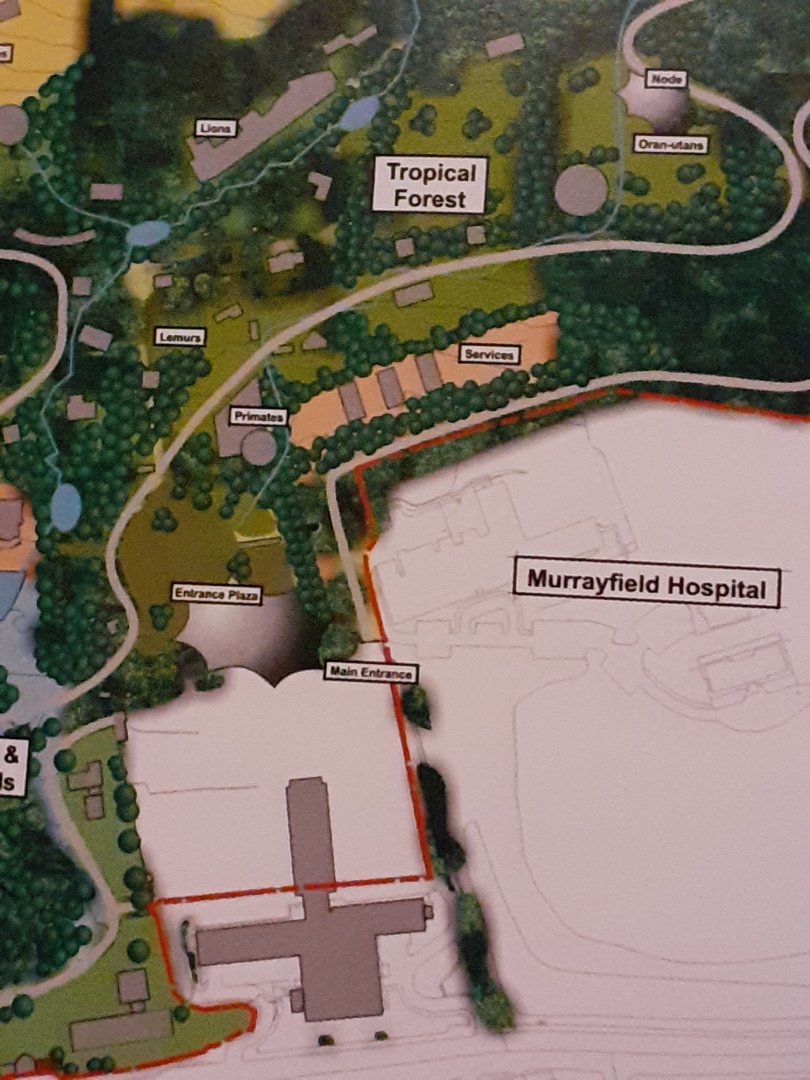 Possible Future plans2