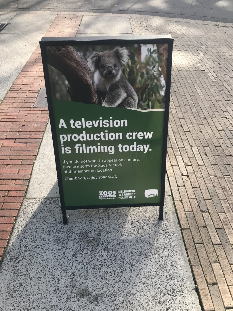 Possible Melbourne Zoo TV Series???