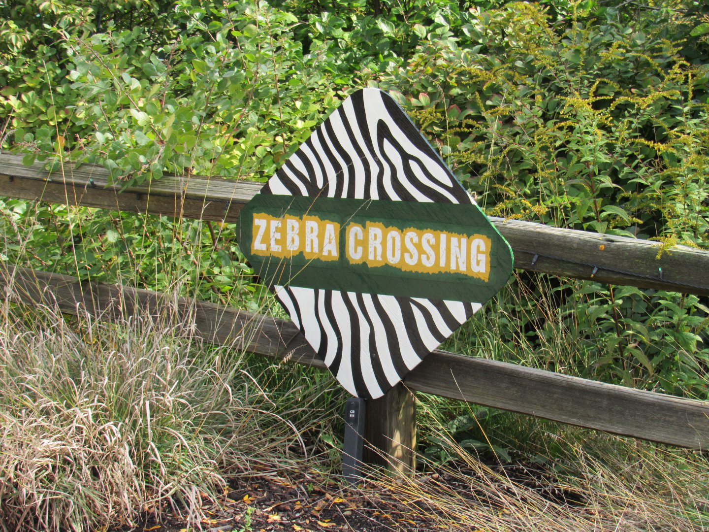 Possible Pride of Africa Teaser Sign