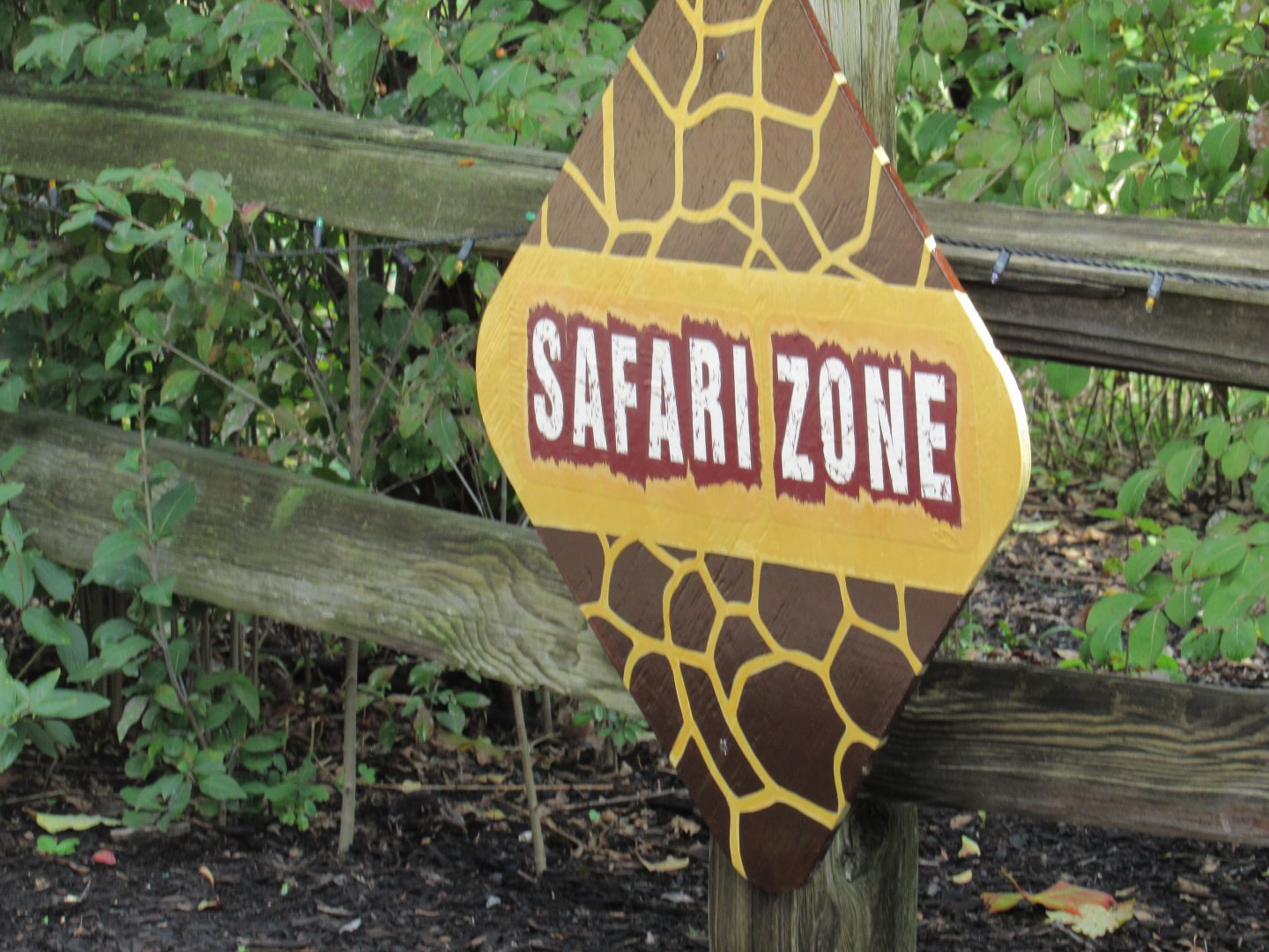 Possible Pride of Africa Teaser Sign