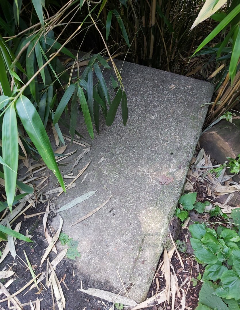 Possible remnant of the old polar bear enclosure