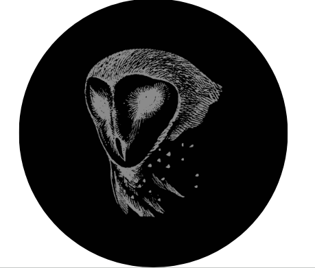 Possible Twilight Realms Logo -> ZooSC at Myrtle Beach