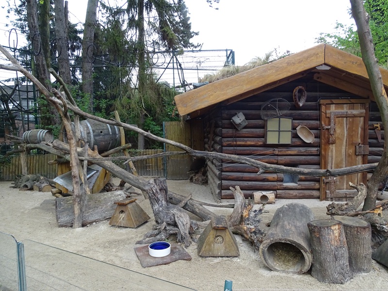 Possum / spotted skunk / tree porcupine enclosure