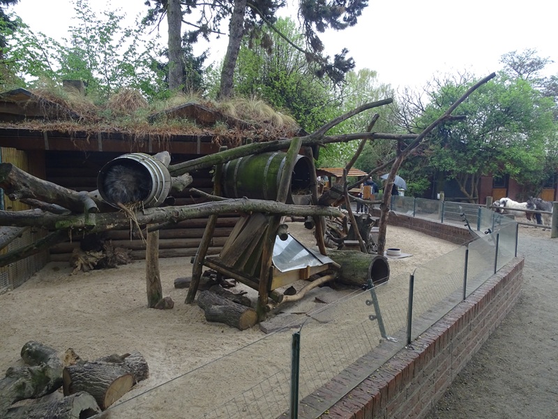 Possum / spotted skunk / tree porcupine enclosure
