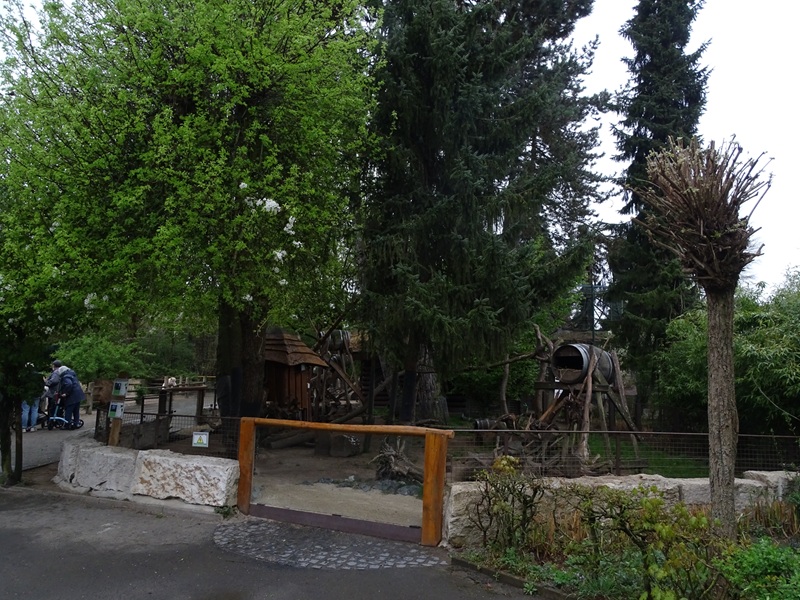 Possum / striped skunk / tree porcupine enclosure