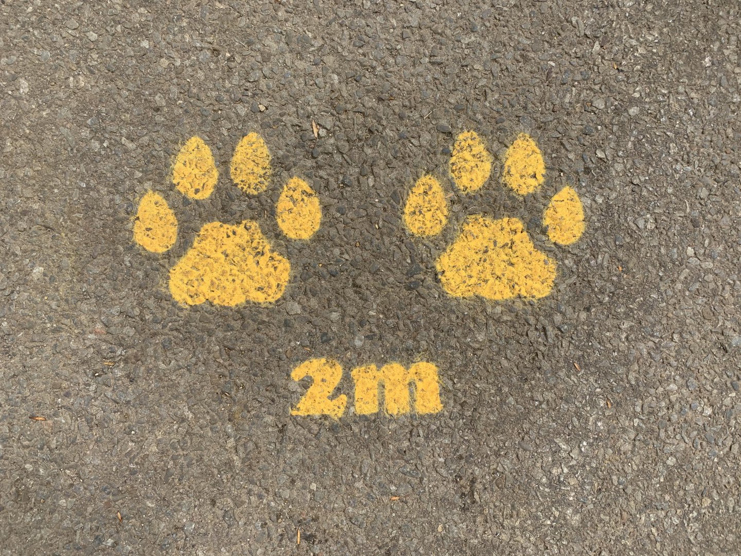 Post Lockdown Visit - 20/6/2020