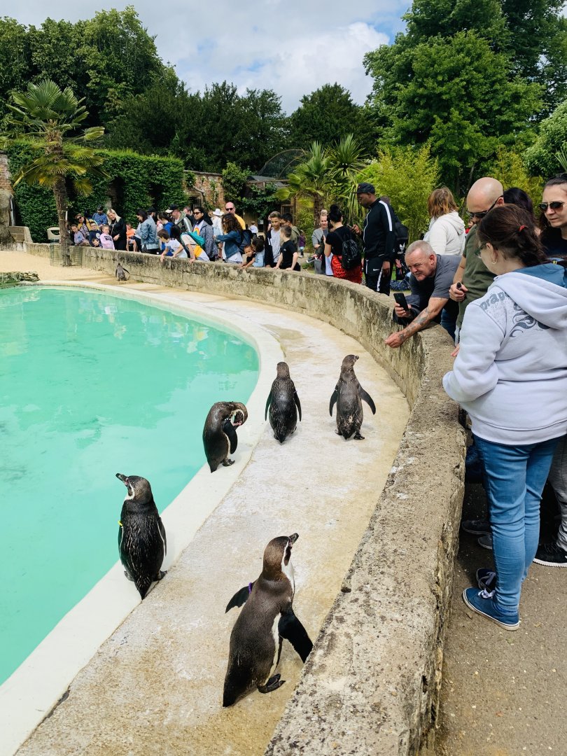 Post Lockdown Visit - 20/6/2020