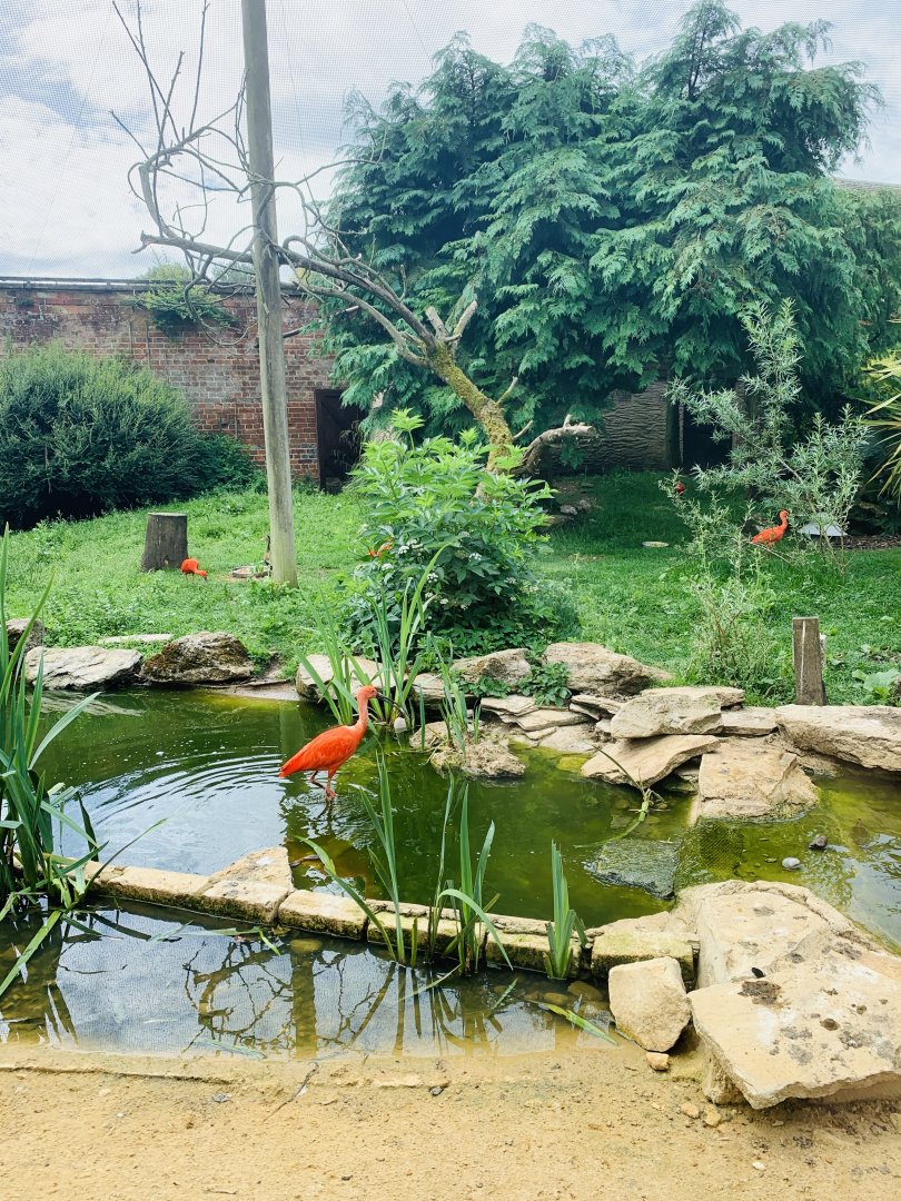 Post Lockdown Visit - 20/6/2020