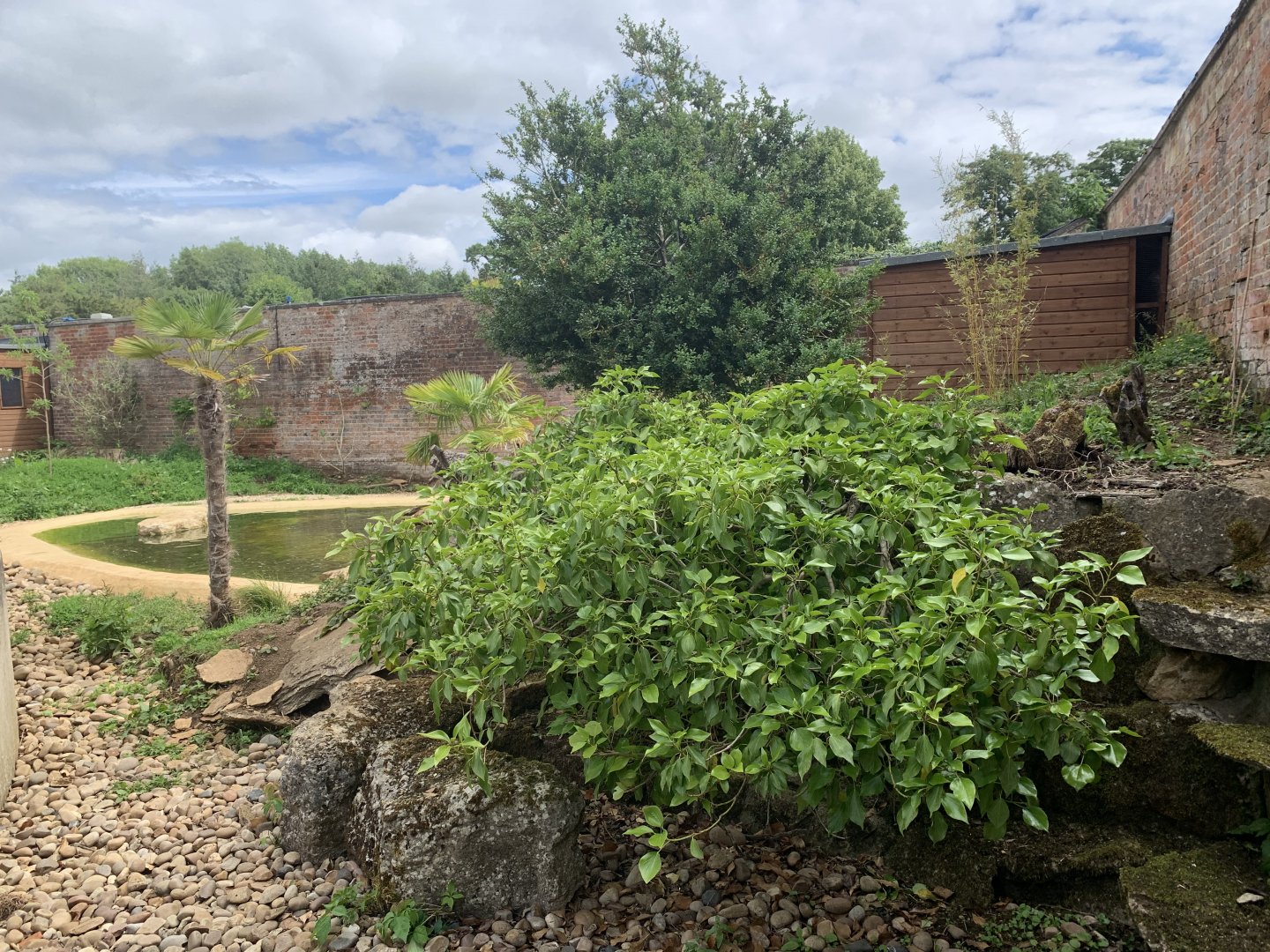 Post Lockdown Visit - 20/6/2020