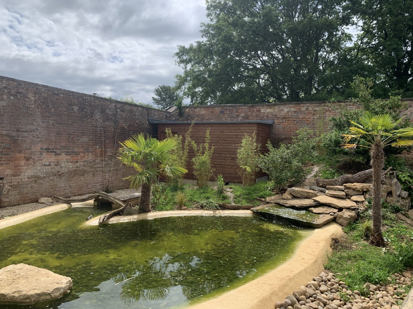 Post Lockdown Visit - 20/6/2020