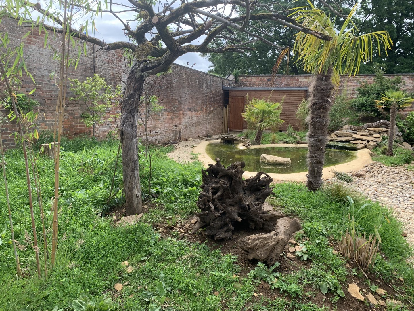 Post Lockdown Visit - 20/6/2020