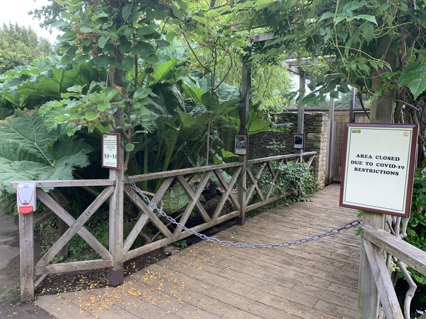 Post Lockdown Visit - 20/6/2020