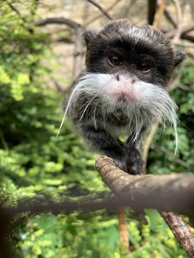 Post Lockdown Visit - 20/6/2020