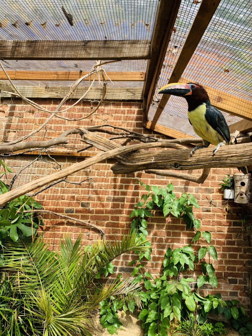 Post Lockdown Visit - 20/6/2020