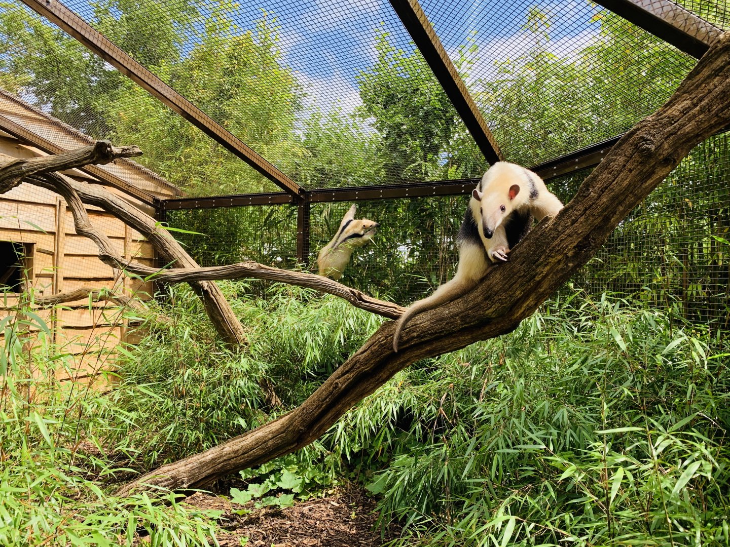 Post Lockdown Visit - 20/6/2020