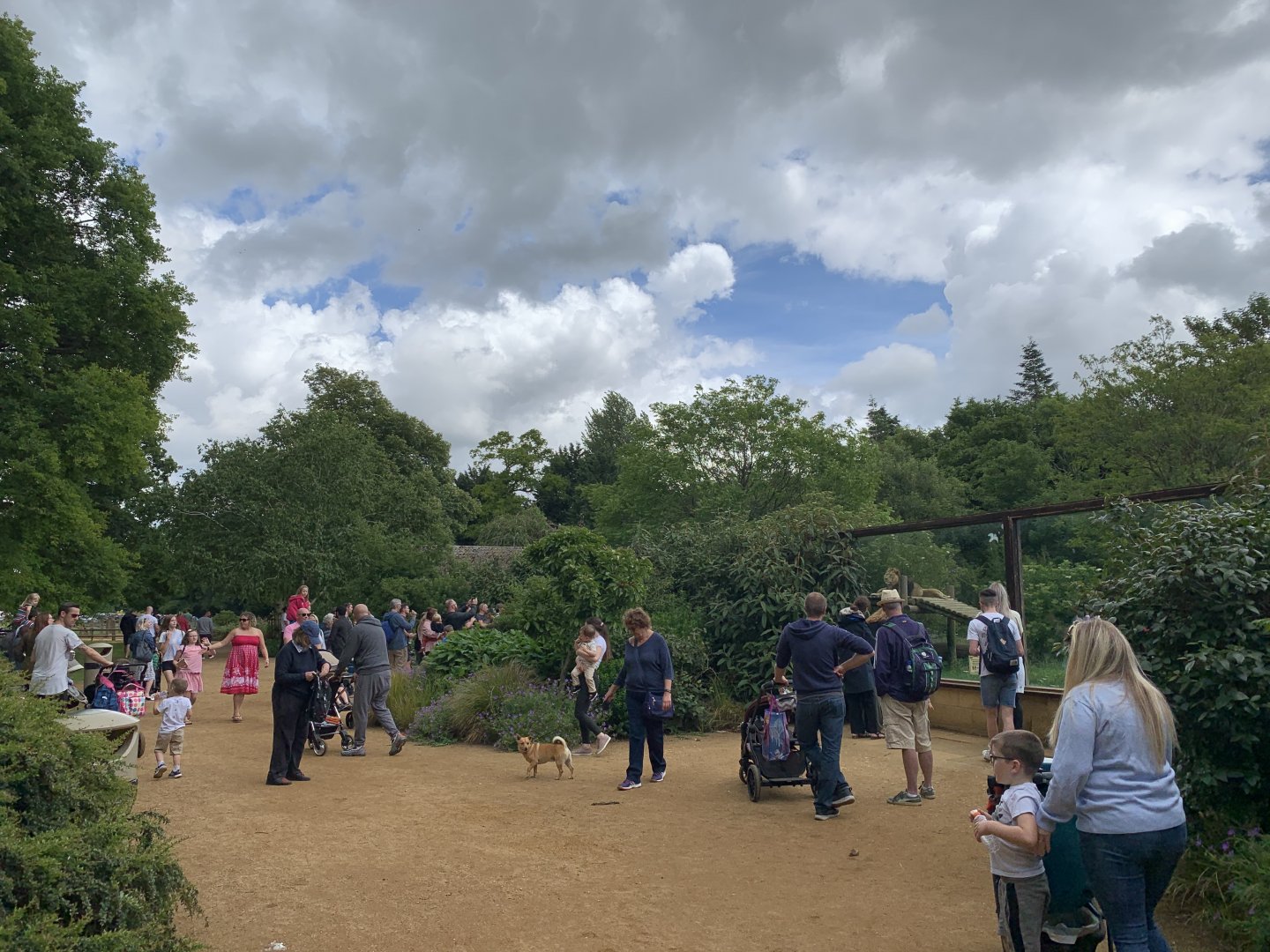 Post Lockdown Visit - 20/6/2020