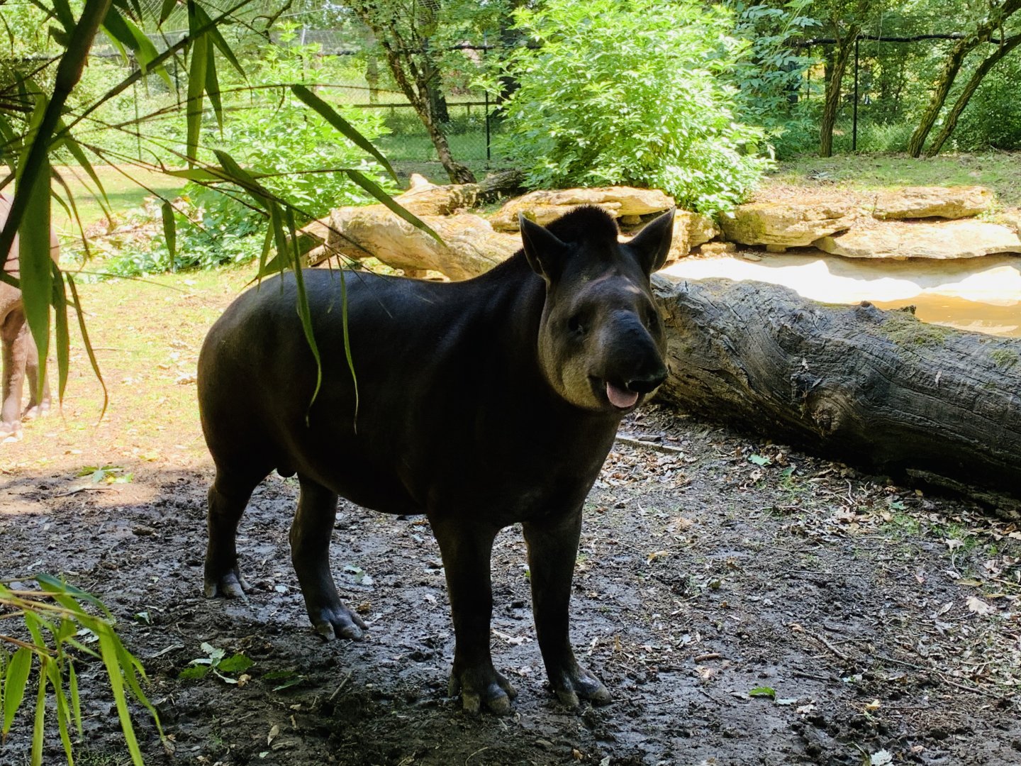 Post Lockdown Visit - 20/6/2020