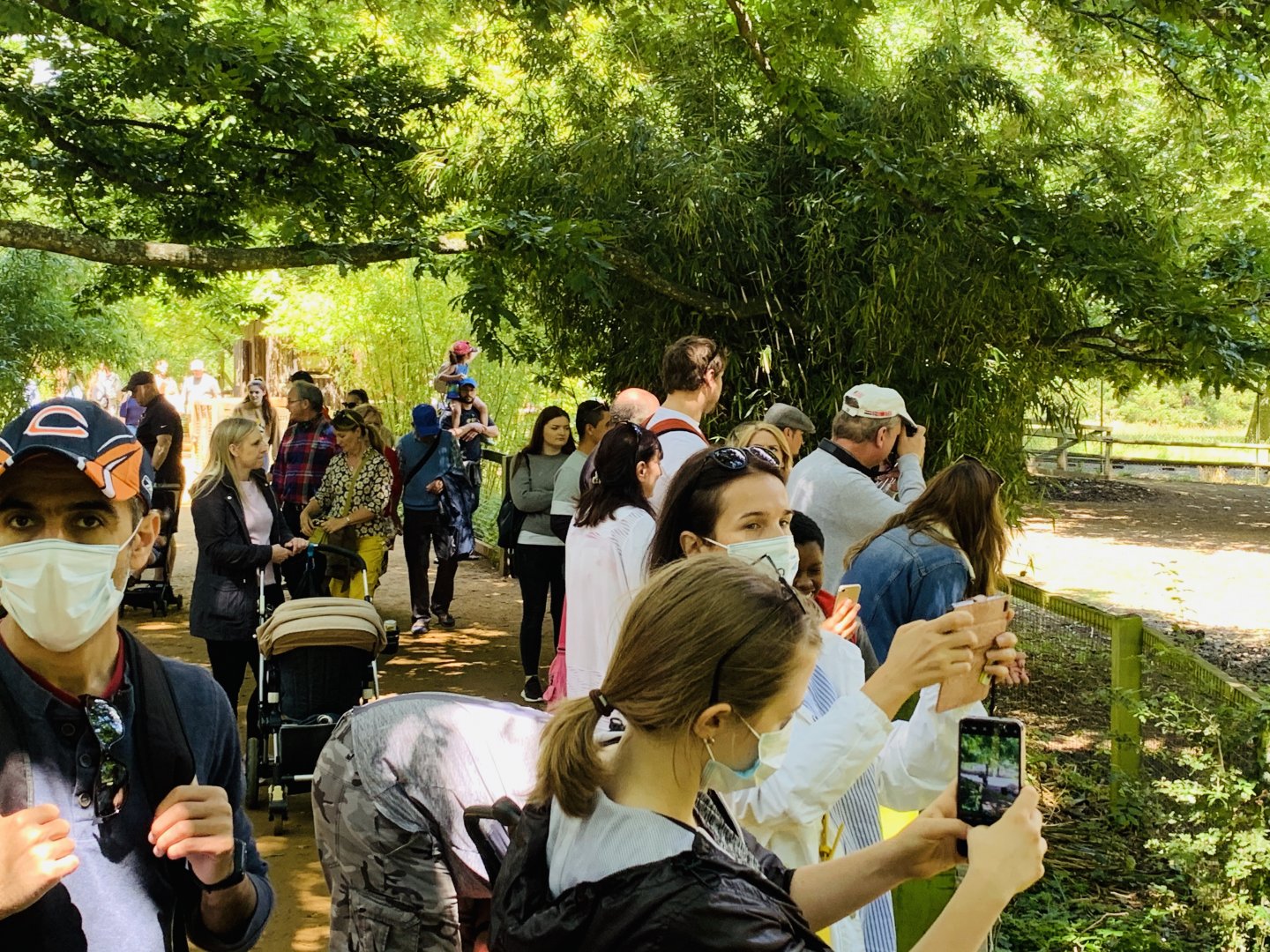 Post Lockdown Visit - 20/6/2020