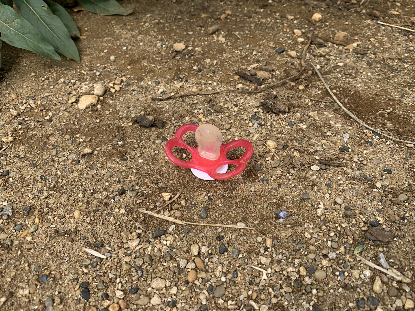 Post Lockdown Visit - 20/6/2020