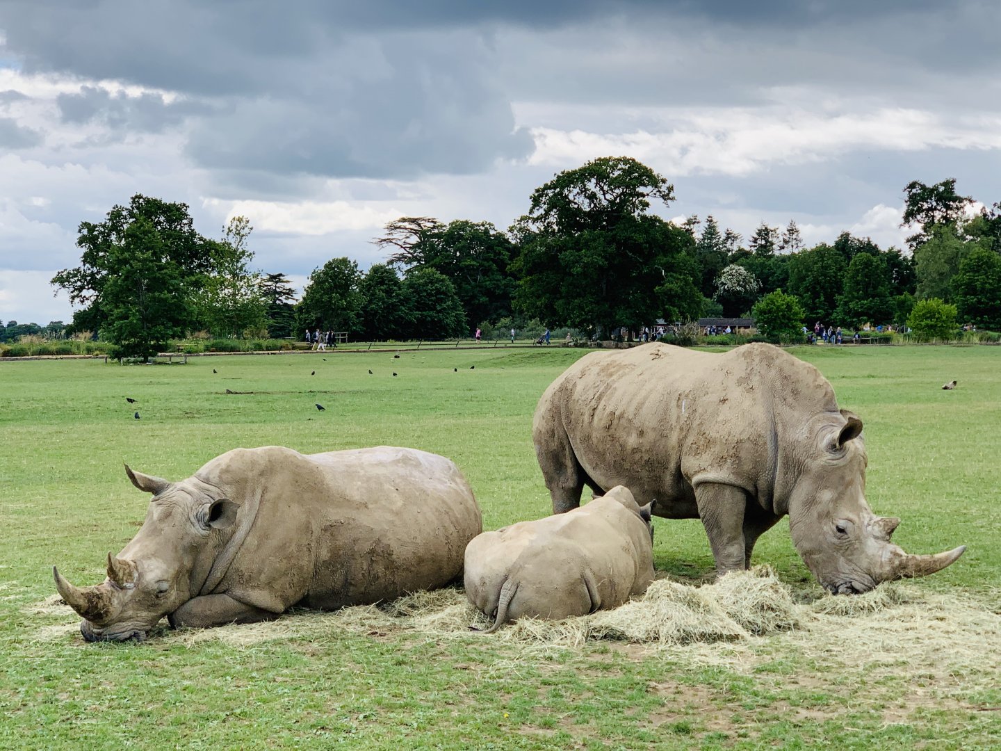 Post Lockdown Visit - 20/6/2020