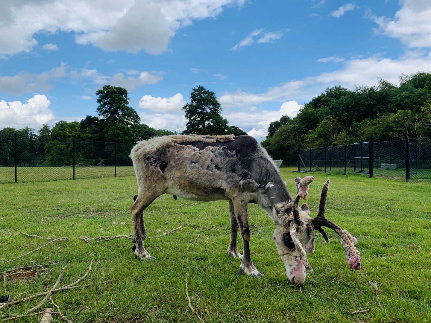 Post Lockdown Visit - 20/6/2020