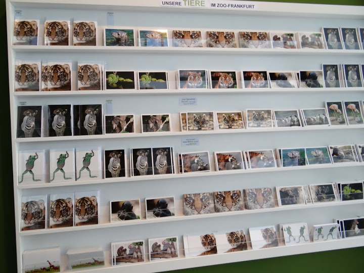 Postcards in the shop zoo