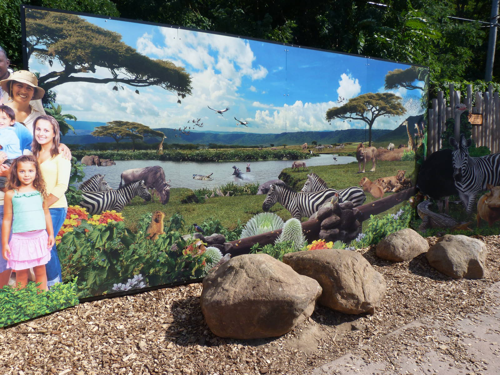 Poster: A Step Into Africa