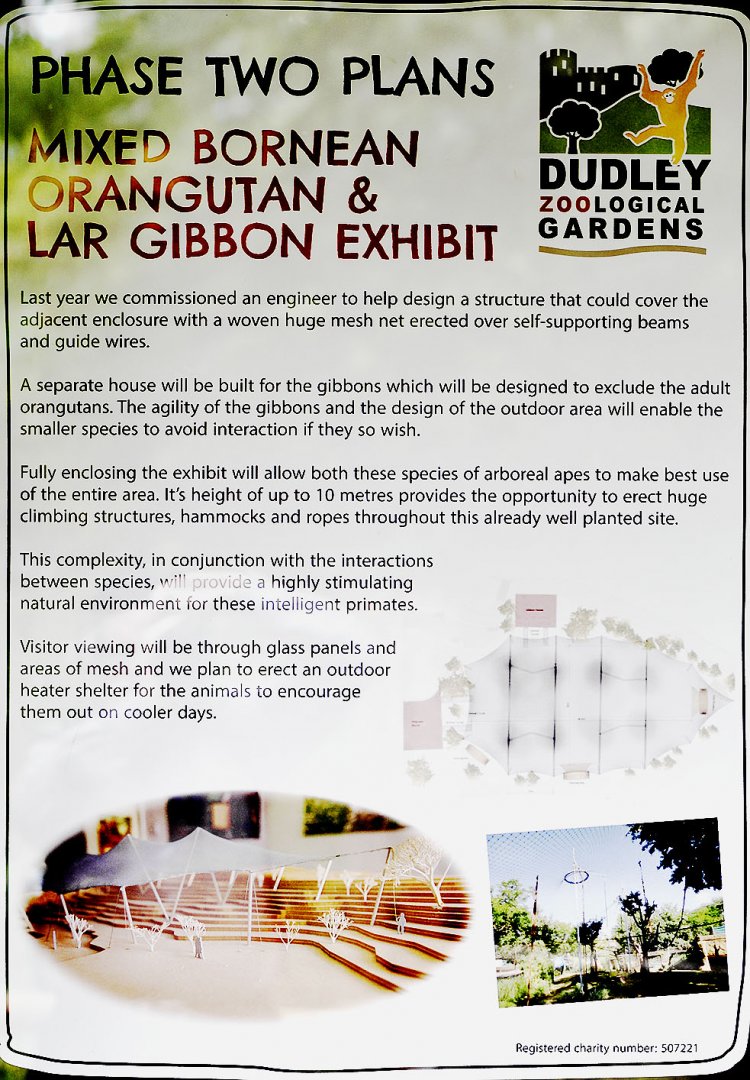 Poster about new orang and gibbon exhibit