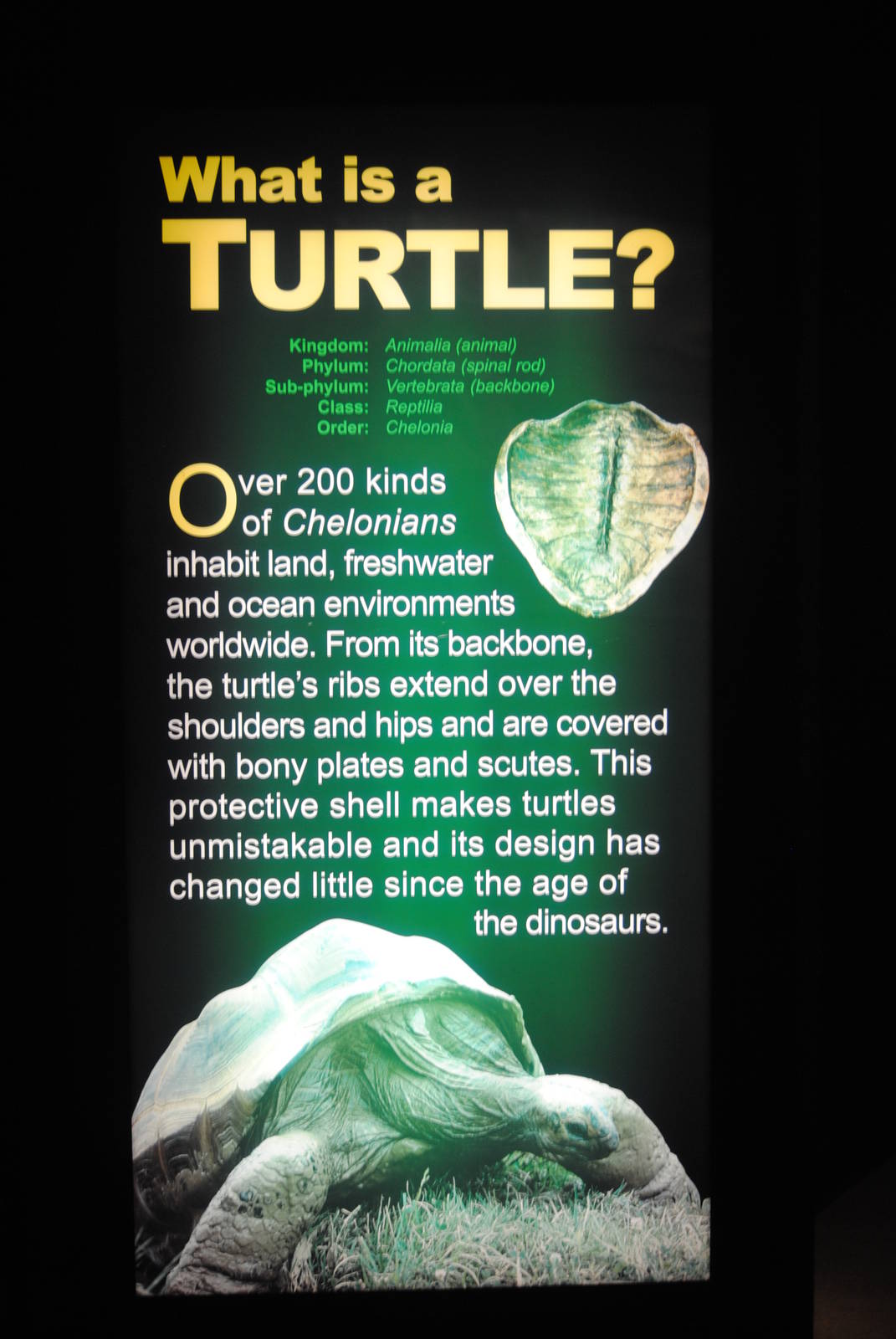 Poster in the Main Gallery