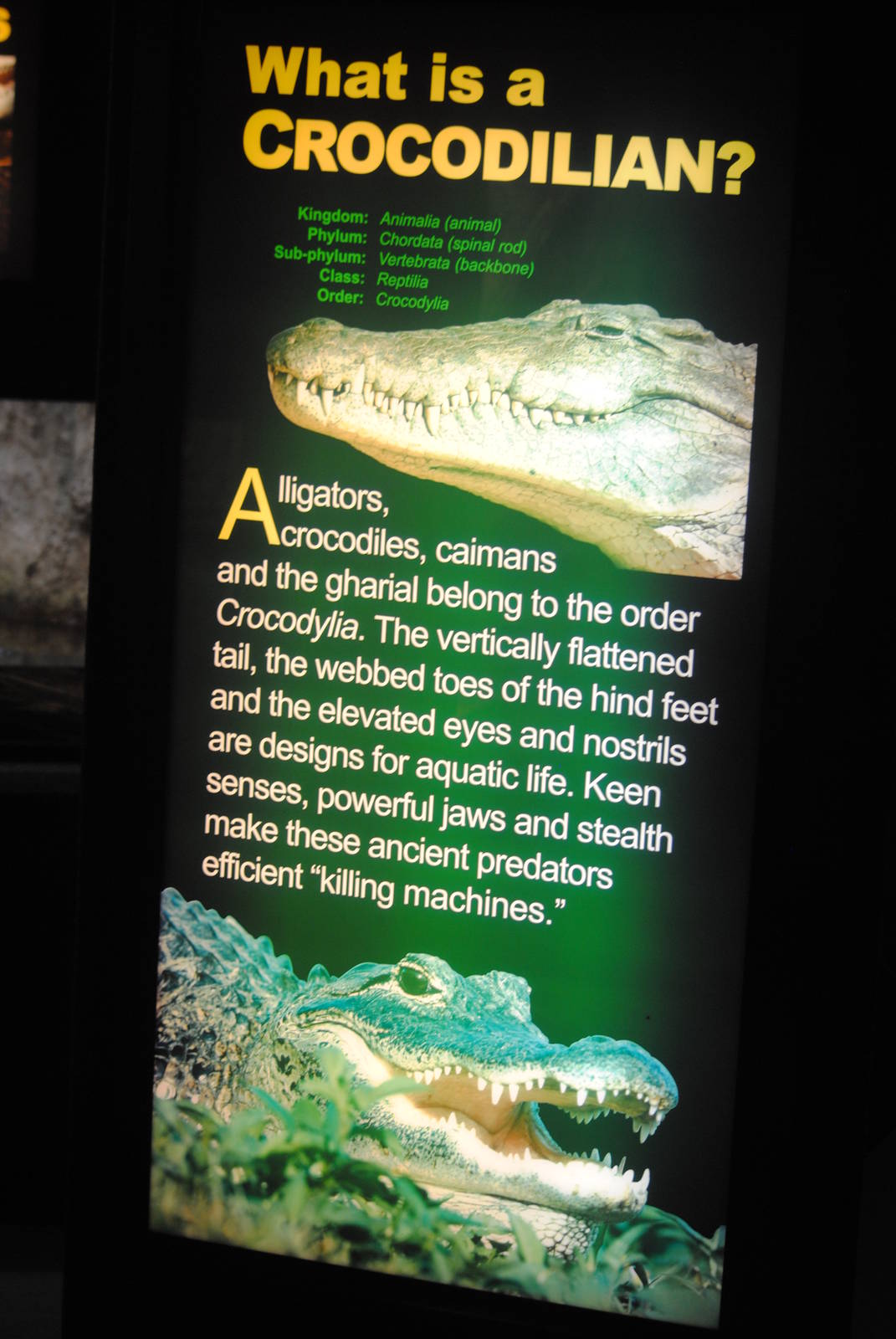 Poster in the Main Gallery