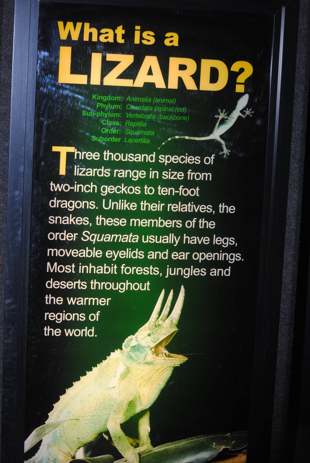 Poster in the Main Gallery