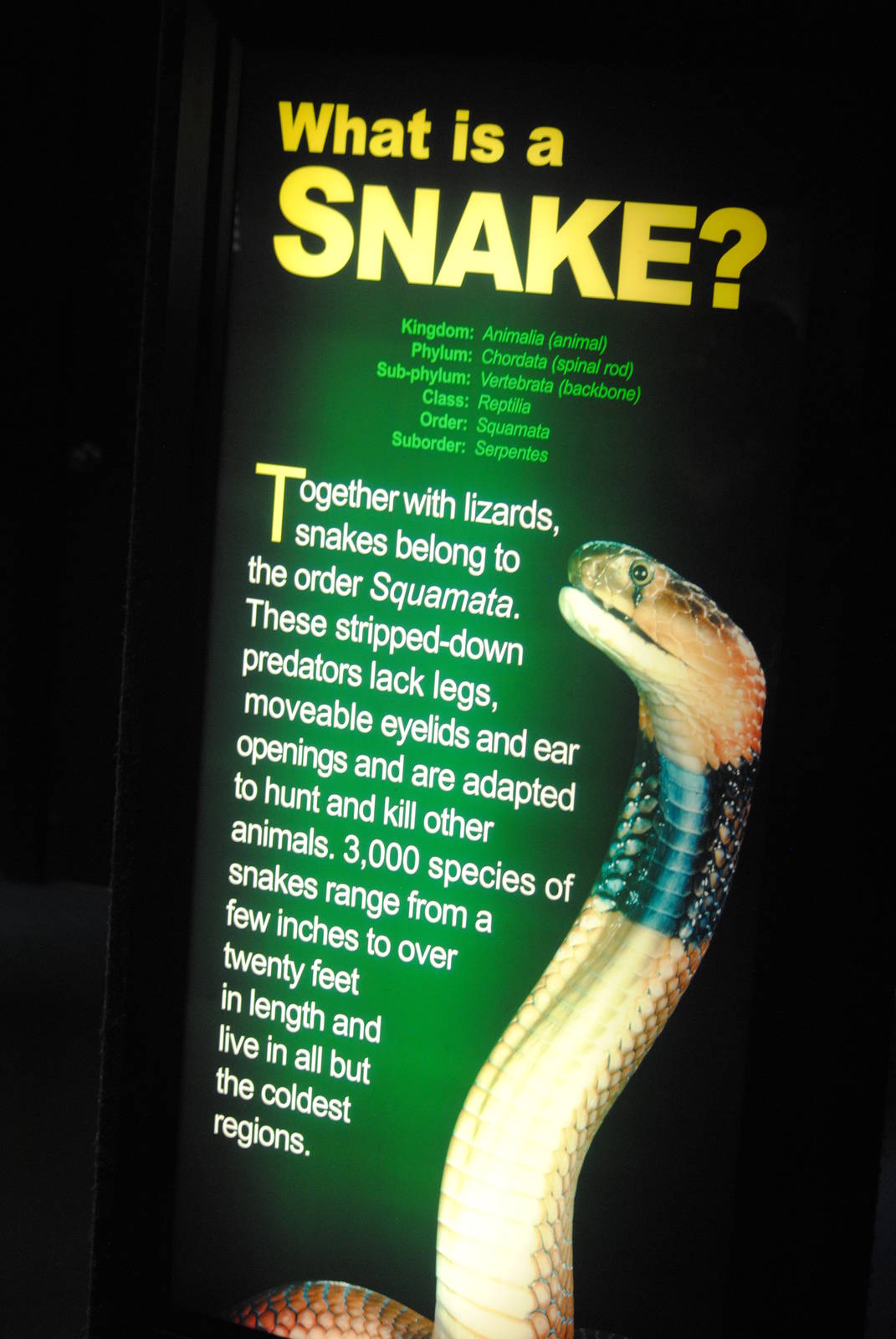 Poster in the Main Gallery