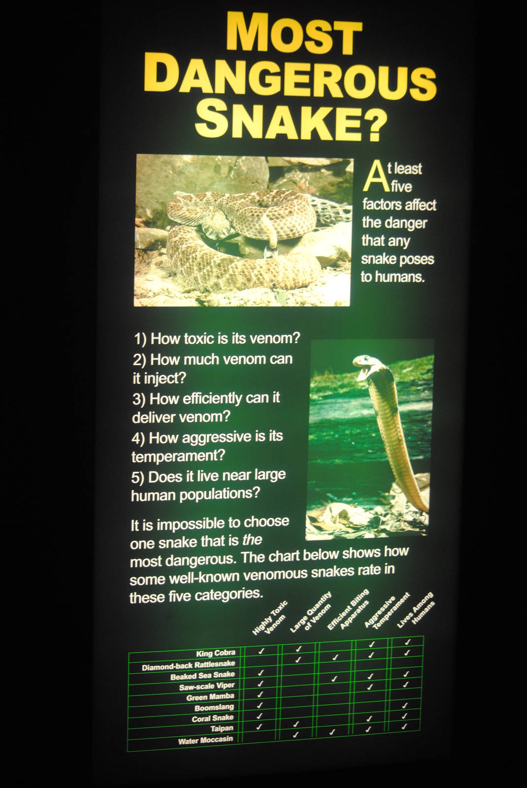 Poster in the Main Gallery