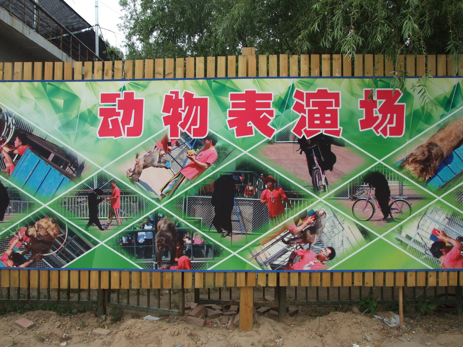 Poster of animal show
