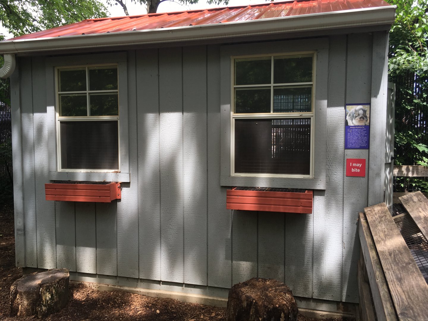 Pot-Bellied Pig House