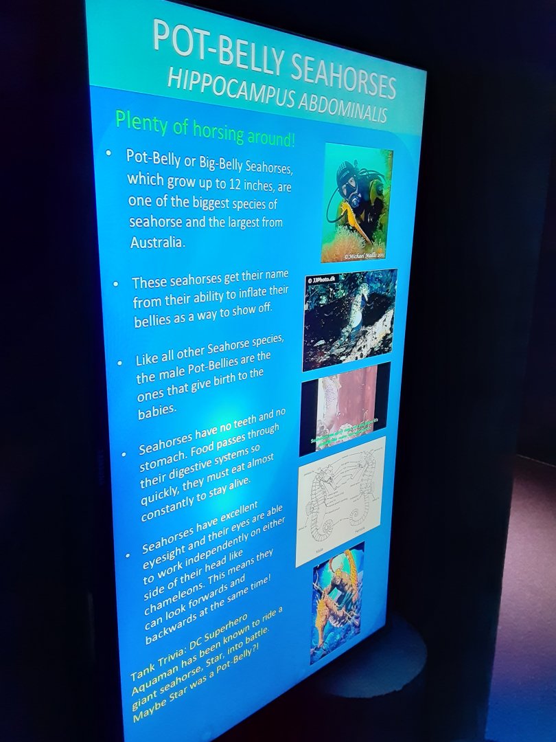 Pot-Bellied Seahorse Signage