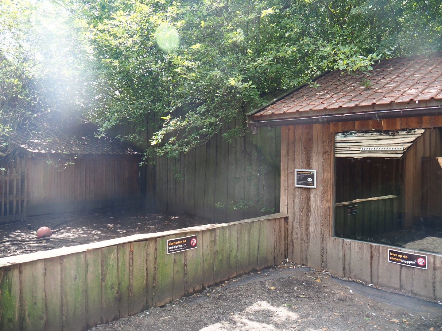 Pot-belly pig yard and barn