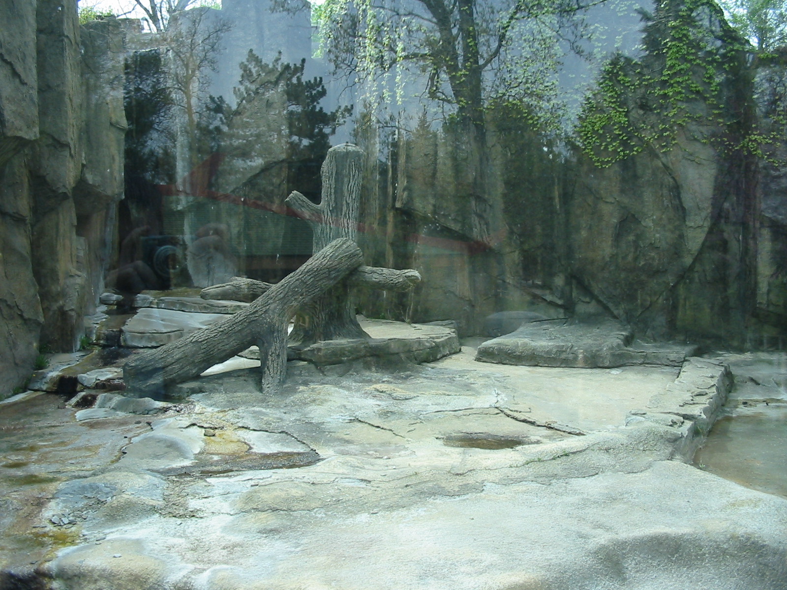 Potawatomi Zoo 2003 - Asiatic Black Bear exhibit
